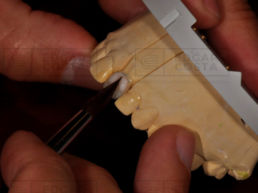 TPD. Reinaldo Nascimento